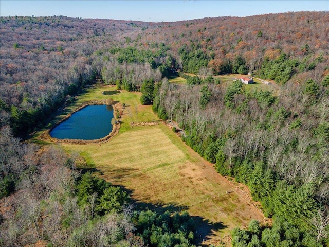 236 Budd Rd, Wurtsboro, NY 12788 - aerial view of property and surrounding area featuring a forest and a large body of water