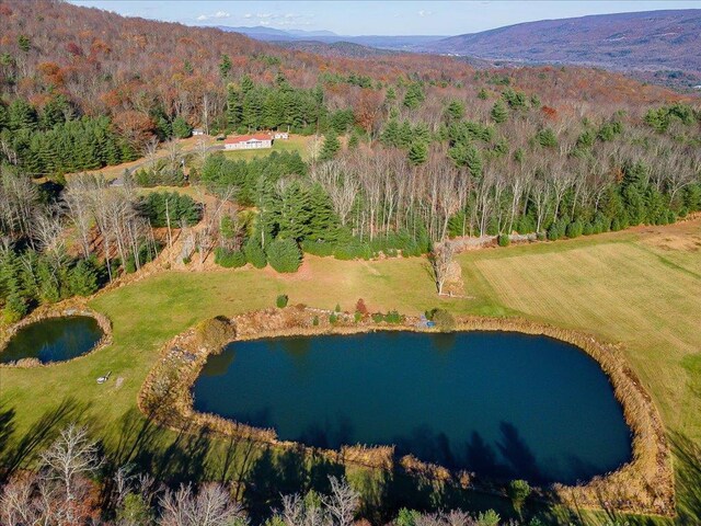 236 Budd Rd, Wurtsboro, NY 12788 - aerial view of property's location with a water and mountain view and a forest
