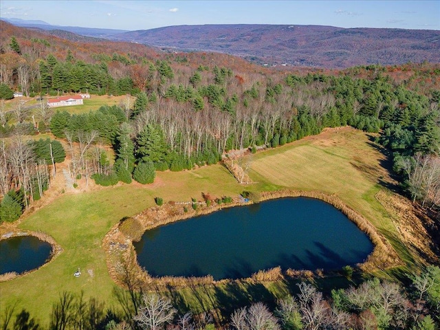 236 Budd Rd, Wurtsboro, NY 12788 - aerial view of property's location featuring a forest and a water and mountain view