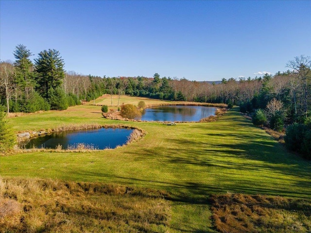 236 Budd Rd, Wurtsboro, NY 12788 - water view featuring a heavily wooded area