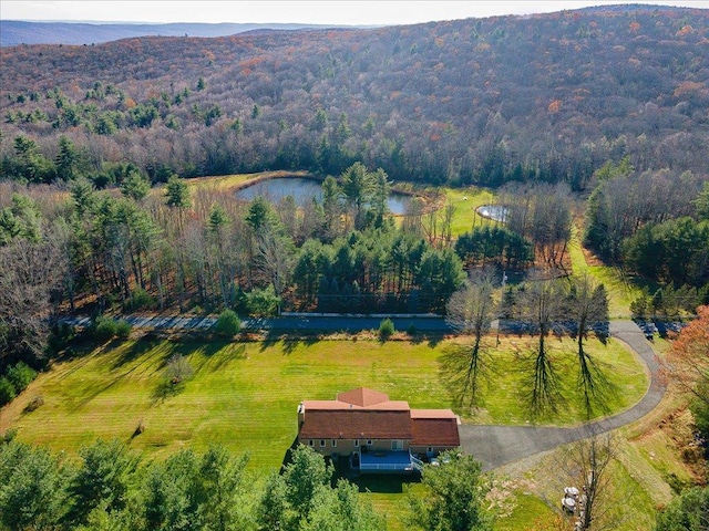 236 Budd Rd, Wurtsboro, NY 12788 - view of subject property featuring a large body of water and a heavily wooded area