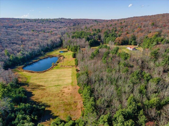 236 Budd Rd, Wurtsboro, NY 12788 - bird's eye view of a forest and a large body of water