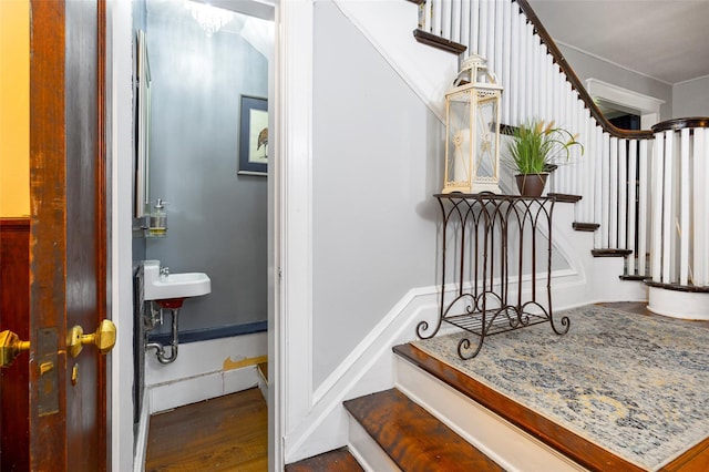 staircase featuring wood finished floors