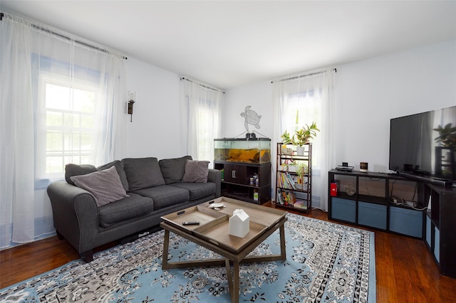 living area with wood finished floors