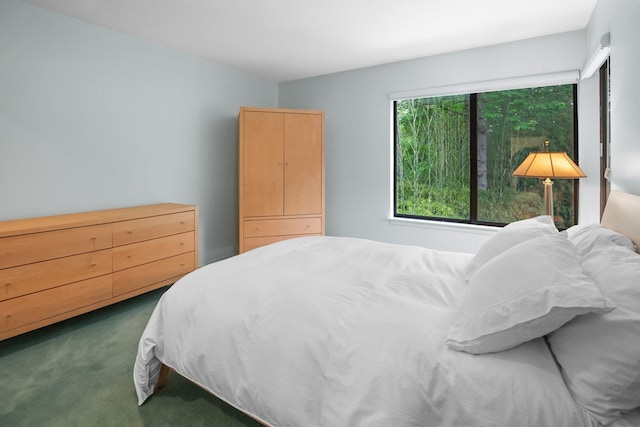 5 Ponds Ln, Purchase, NY 10577 - bedroom with dark colored carpet