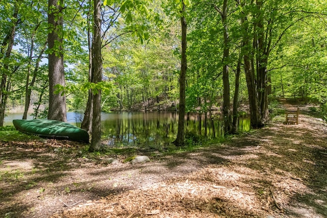 33 Pells Rd, Rhinebeck, NY 12572 - photo 43