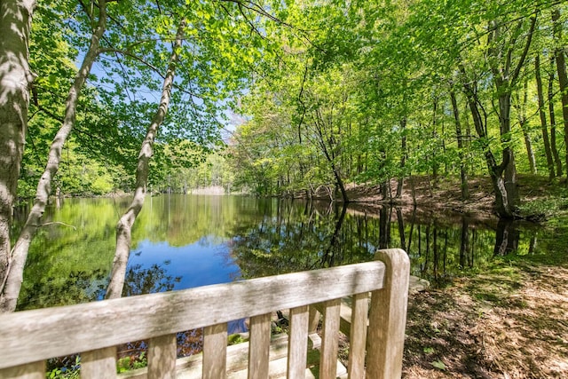 33 Pells Rd, Rhinebeck, NY 12572 - photo 45