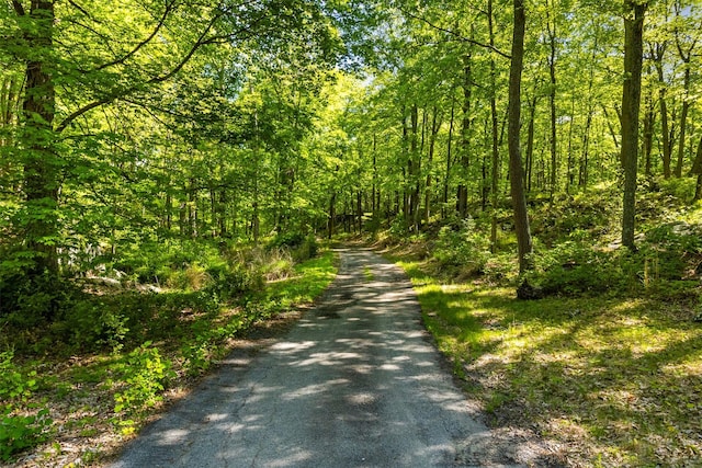 371-383 Pea Pond Rd, Katonah, NY 10536