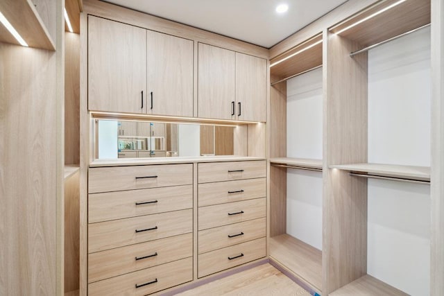 1 Bentley Rd, Great Neck, NY 11023 - view of walk in closet