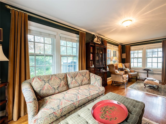 living room featuring radiator, wood finished floors, and ornamental molding