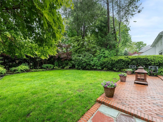 view of yard featuring a patio