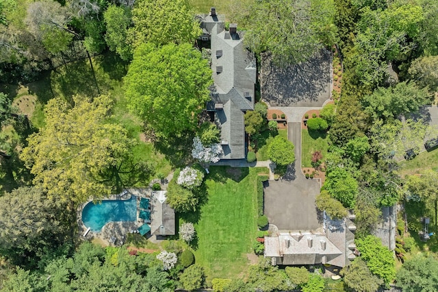aerial view of a pool area