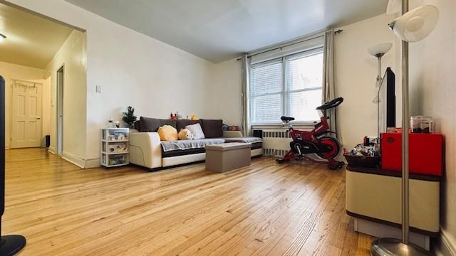 living room with light wood-style floors and radiator