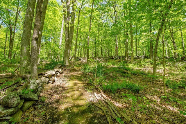 110 Sherwood Hill Rd, Brewster, NY 10509 - view of tree filled area