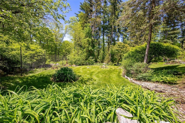 110 Sherwood Hill Rd, Brewster, NY 10509 - view of green lawn