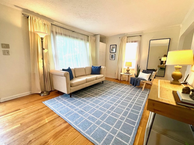 living room featuring wood finished floors, baseboards, and a textured ceiling