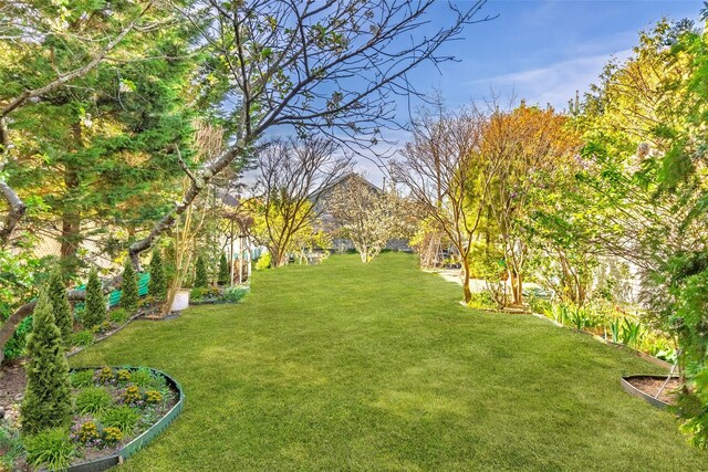 view of grassy yard