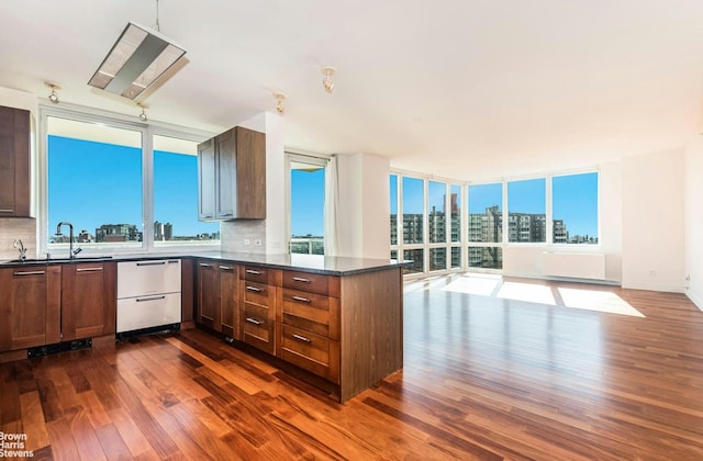 kitchen featuring dishwashing machine, dark wood-style floors, dark countertops, a sink, and decorative backsplash