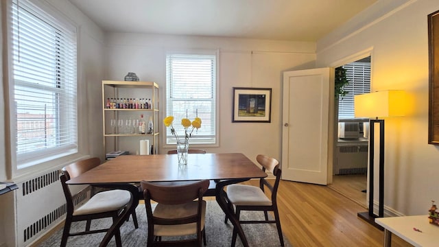 dining area featuring radiator, light wood finished floors, and healthy amount of natural light