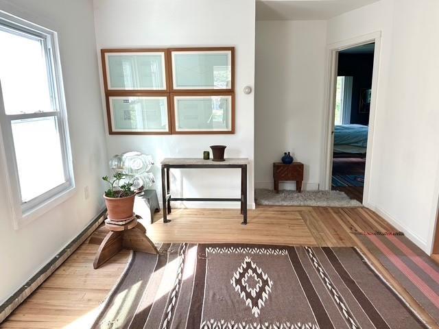 entryway featuring healthy amount of natural light, wood finished floors, and baseboards