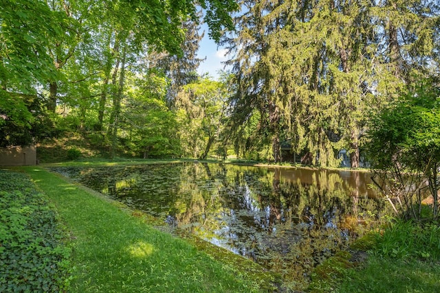 water view