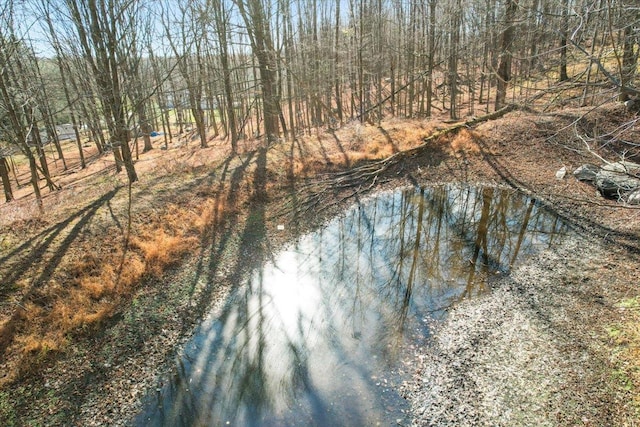553 Roosa Gap Rd, Bloomingburg, NY 12721 - water view