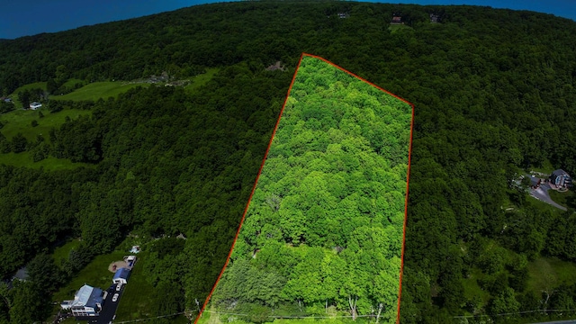 553 Roosa Gap Rd, Bloomingburg, NY 12721 - photo 25