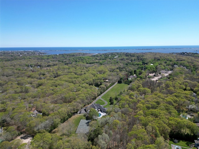 124 Montauk Hwy, Westhampton, NY 11977 - aerial view of a forest and a nearby body of water