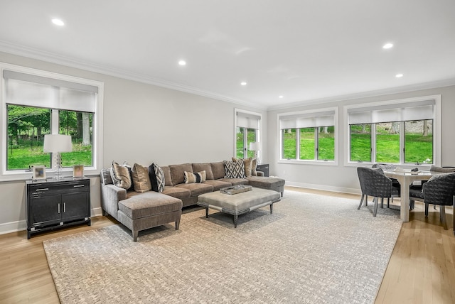 92 Random Farms Dr, Chappaqua, NY 10514 - living room with crown molding, light wood-style floors, baseboards, and recessed lighting