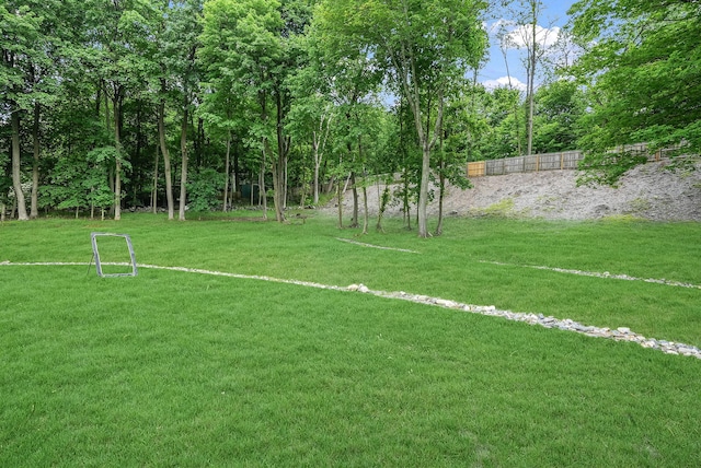 92 Random Farms Dr, Chappaqua, NY 10514 - view of yard