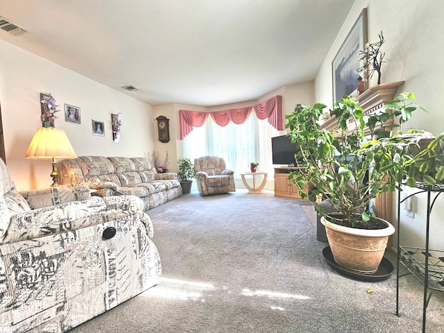 53 Olde Wagon Rd Unit 53, Warwick, NY 10990 - view of carpeted living area