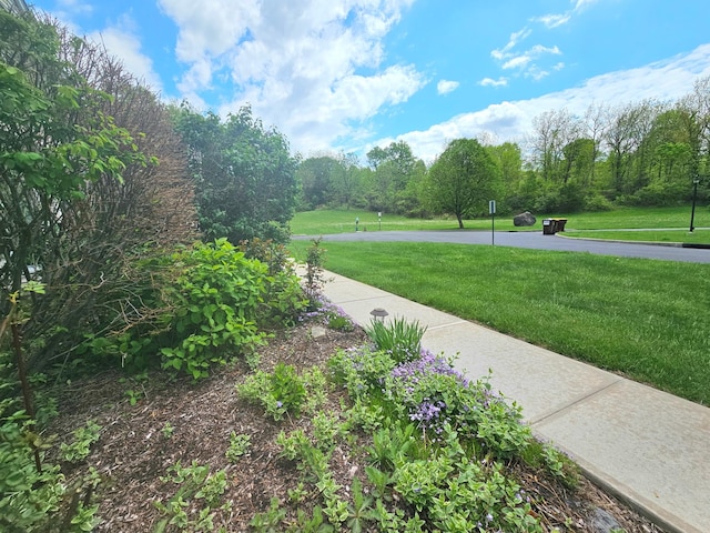 53 Olde Wagon Rd Unit 53, Warwick, NY 10990 - view of green lawn