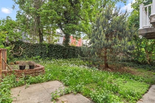 332 E 240th St, Bronx, NY 10470 - view of yard