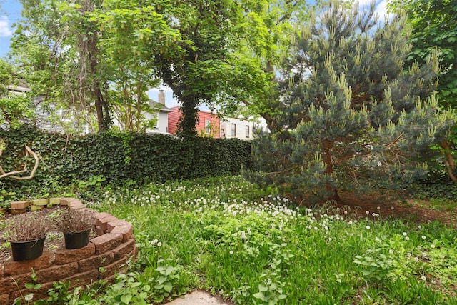 332 E 240th St, Bronx, NY 10470 - view of yard