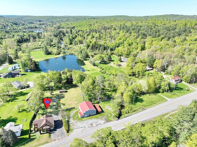 1143 State Route 17b, Mongaup Valley, NY 12762 - aerial view of property's location with a heavily wooded area and a nearby body of water