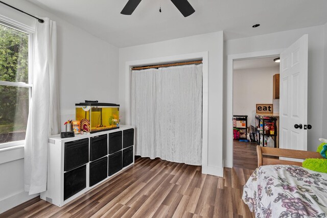108 Homestead Ave, Maybrook, NY 12543 - bedroom with wood finished floors, a closet, and ceiling fan