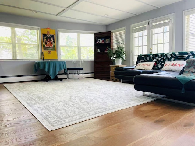 21 Rivers Dr, Great Neck, NY 11020 - living area featuring healthy amount of natural light, wood finished floors, and baseboard heating