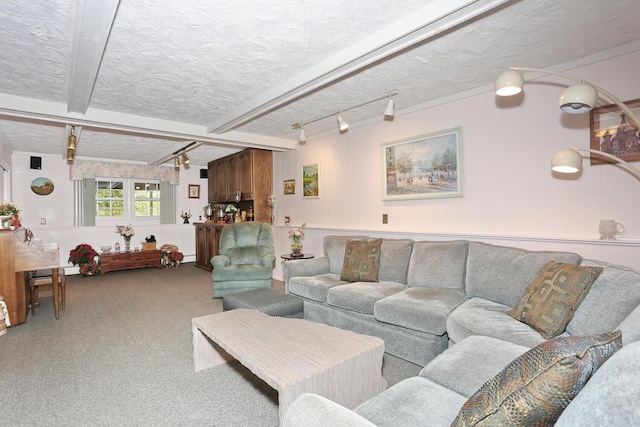 4 Stockbridge Ave, Suffern, NY 10901 - carpeted living room with track lighting, a textured ceiling, and beamed ceiling
