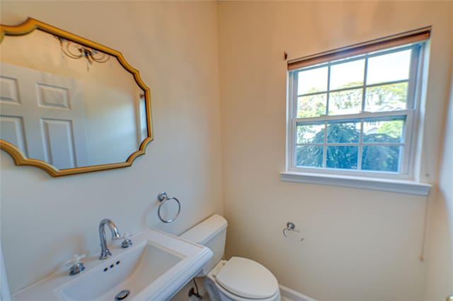 118 Willow Wood Dr Unit 118, Oakdale, NY 11769 - photo 16