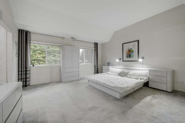 141 Southgate Dr, Massapequa Park, NY 11762 - bedroom with lofted ceiling