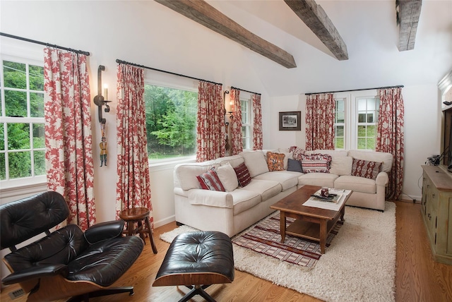 living area featuring wood finished floors and plenty of natural light