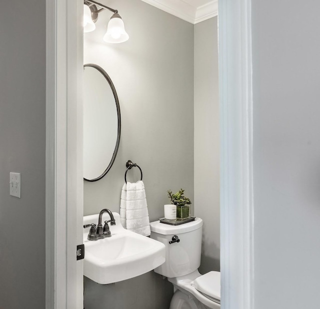 bathroom with ornamental molding, toilet, and a sink