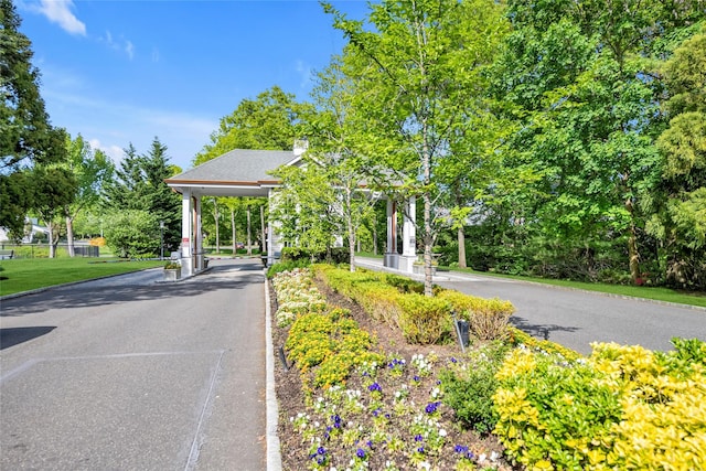 view of property's community featuring asphalt driveway