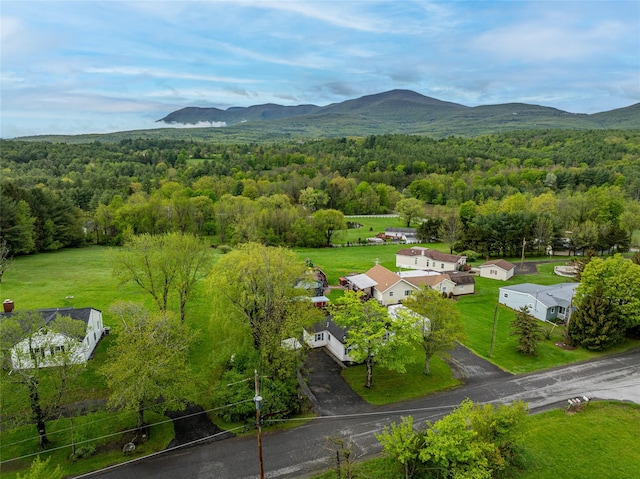 231 Stone Bridge Road Ext, Durham, NY 12423 - drone / aerial view of a heavily wooded area and a mountainous background