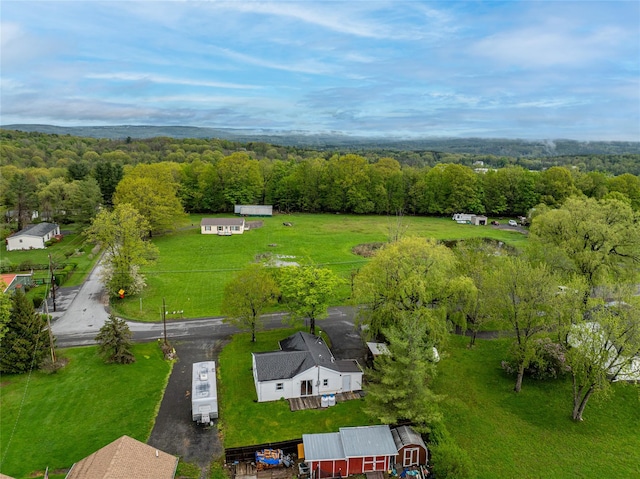 231 Stone Bridge Road Ext, Durham, NY 12423 - bird's eye view of a forest