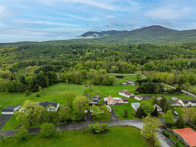 231 Stone Bridge Road Ext, Durham, NY 12423 - bird's eye view of a heavily wooded area and a mountain backdrop