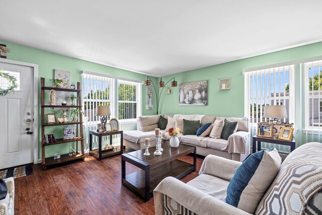 living area with dark wood-style flooring