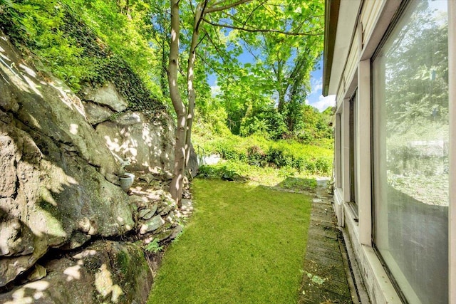 view of green lawn