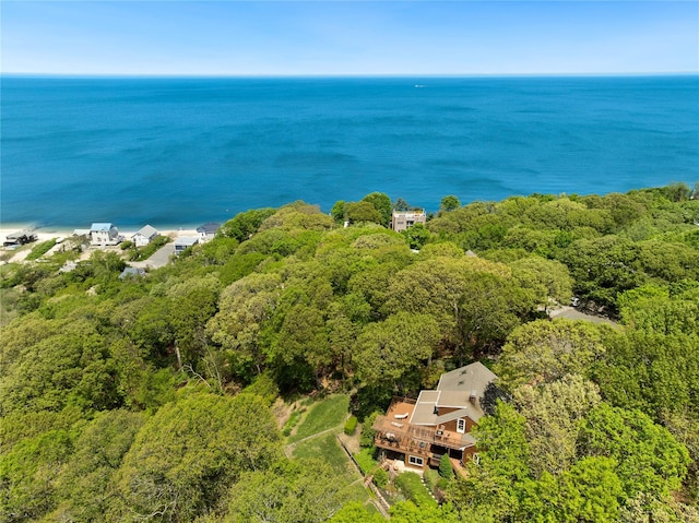 3 Summit Dr, Baiting Hollow, NY 11933 - aerial view of a nearby body of water and a forest