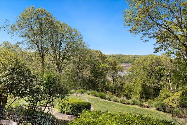 3 Summit Dr, Baiting Hollow, NY 11933 - view of yard
